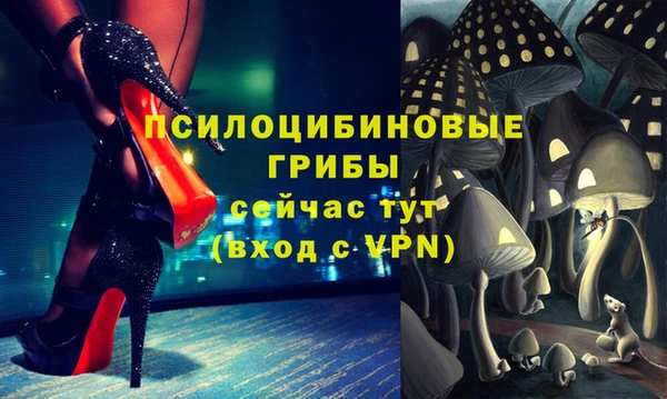 стаф Покров